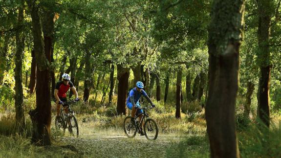 Reinventando la tradición en el alcornocal