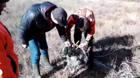 La Policía de Valverde de la Virgen rescata a un perro de caza del interior de un pozo sin sellar de la Aldea