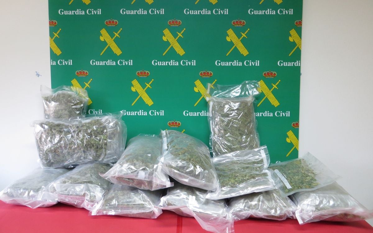 Detenido un hombre de 32 años por cultivar 25 plantas de marihuana en su domicilio