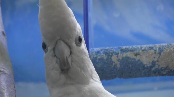 Aqua&Zoo: el mundo animal en León