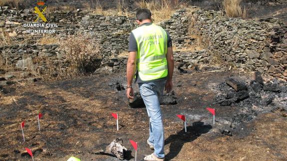 La Guardia Civil atribuye a siete personas la comisión de sendos incendios forestales en León