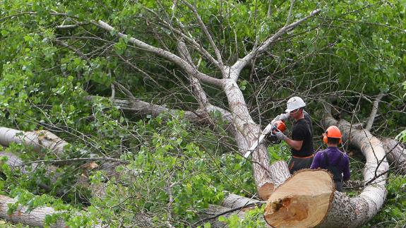 Combustible para el futuro de una comarca
