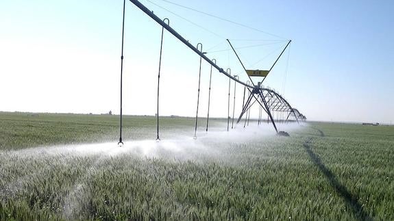 Asaja pide fondos para regadíos, concentración parcelaria y recuperación del apoyo al seguro agrario