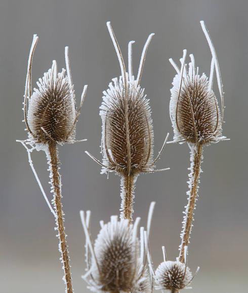 Continúan las bajas temperaturas en León, que podrían llegar mañana a los seis grados bajo cero