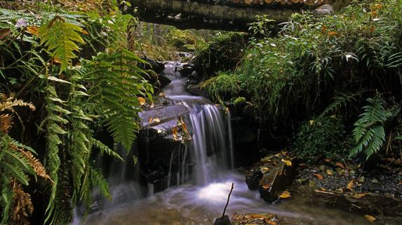 El Valle de Compludo, naturaleza e historia en el origen de la Tebaida Berciana