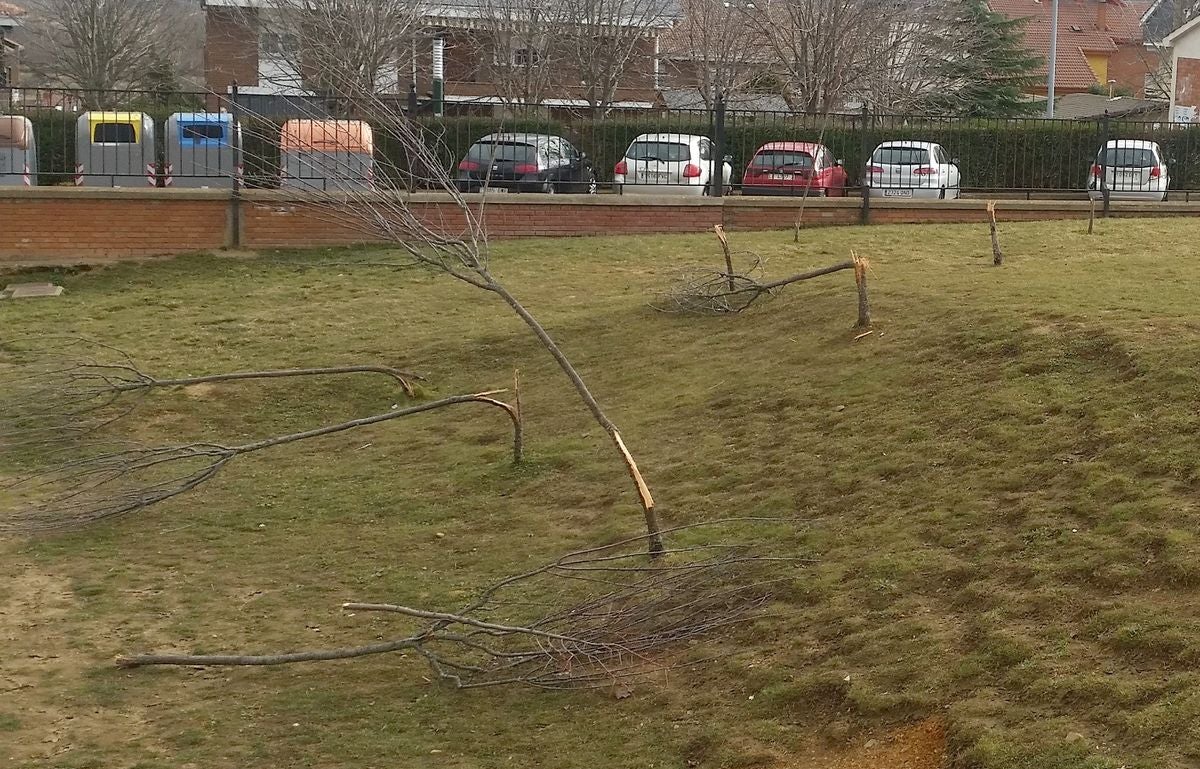 Destrozan quince árboles en un colegio de Navatejera