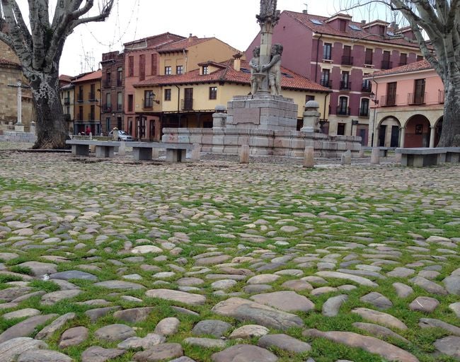 Podemos denuncia el retraso que acumula en las Cortes una PNL que apoya la conservación del empedrado de la Plaza del Grano