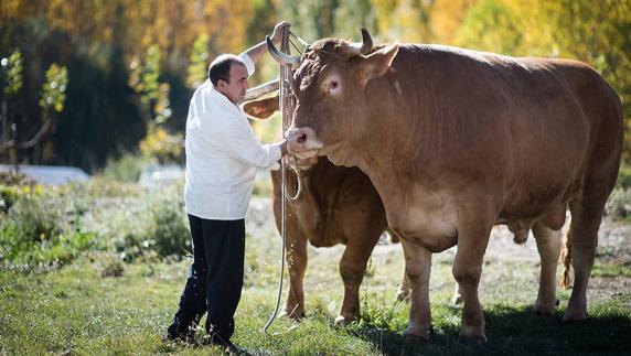 El Capricho vuelve a exaltar la carne de buey en las XV Jornadas Gastronómicas