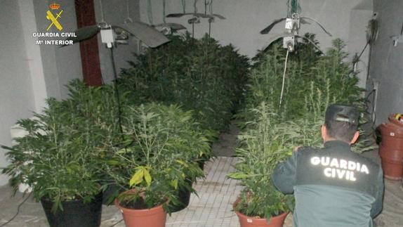 La Guardia Civil detiene a dos personas por el cultivo y distribución de marihuana en Fabero