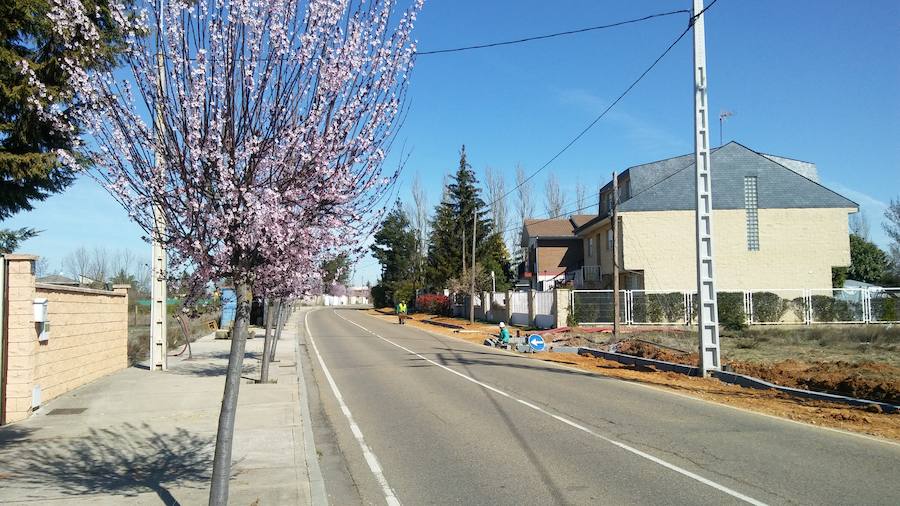 Valverde urbaniza la travesía de la localidad a Montejos dentro del Plan Provincial de Cooperación 2016