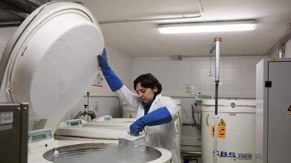Sanidad inyecta 3,6 millones para avanzar en investigación en biomedicina, gestión sanitaria y sociosanitaria
