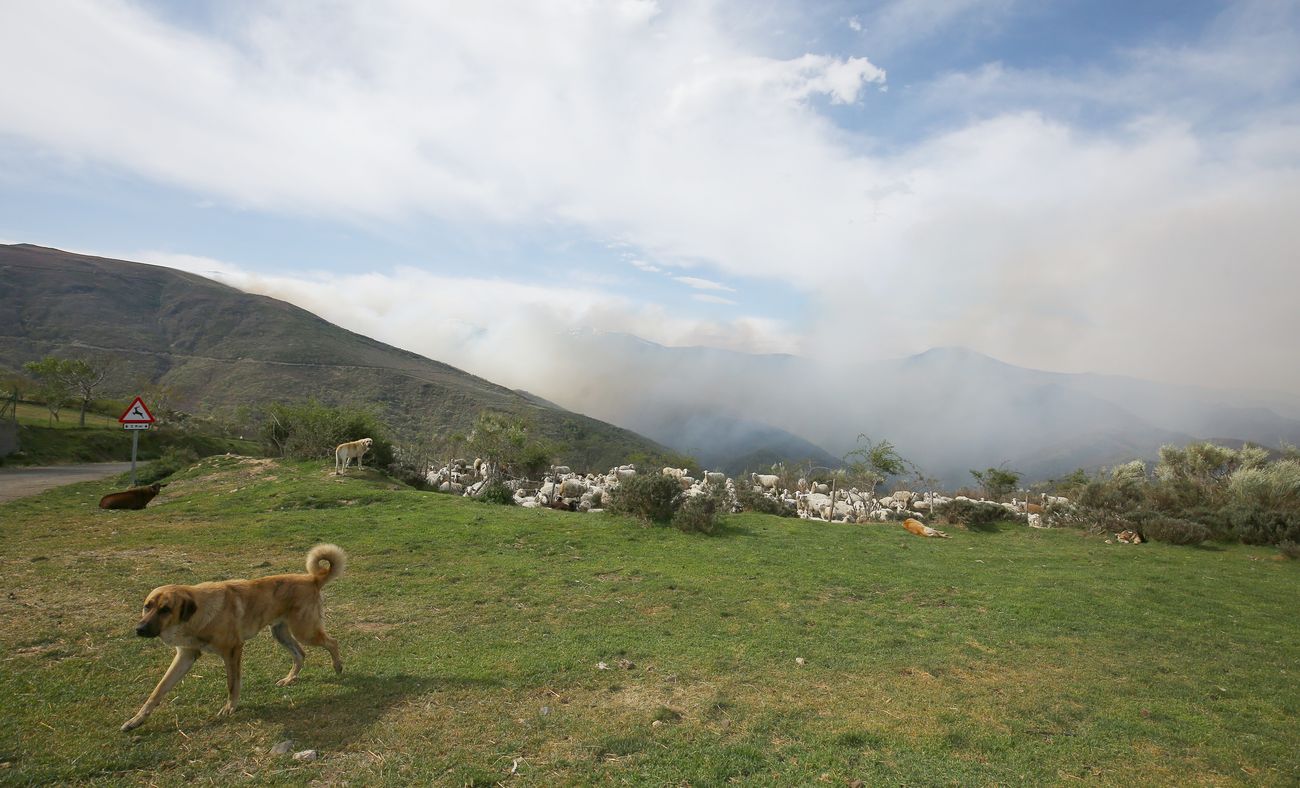 El Bierzo vuelve a arder