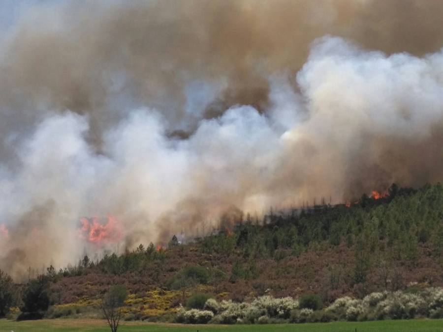 Un incendio en Castrocontrigo se suma a la oleada de fuegos de los últimos días en la provincia