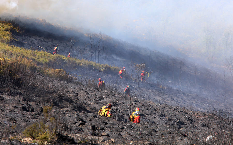 El colectivo Tyto Alba denuncia al ganadero al que consideran autor del incendio de Bouzas