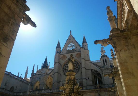 El Huffington Post 'corona' a la Catedral de León