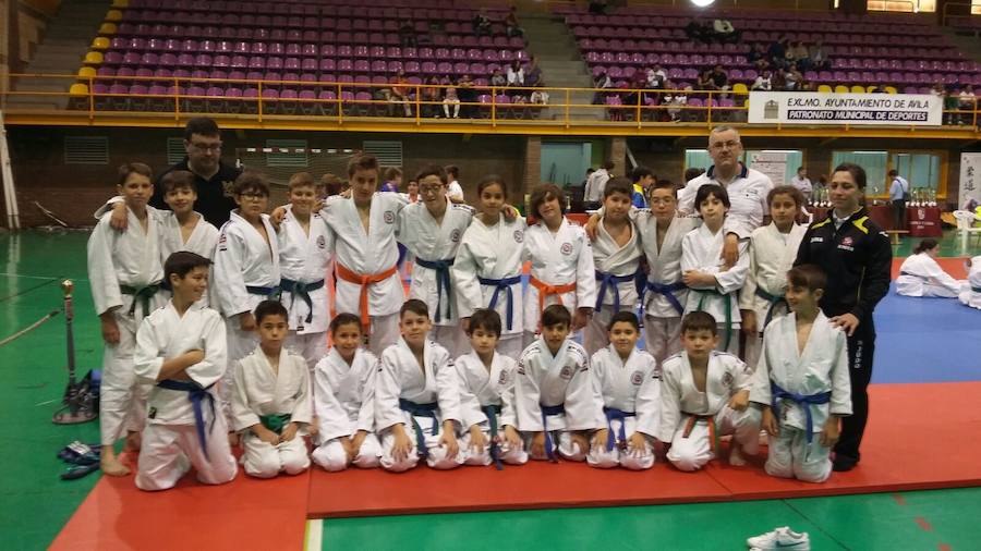 Lluvia de medallas en Ávila