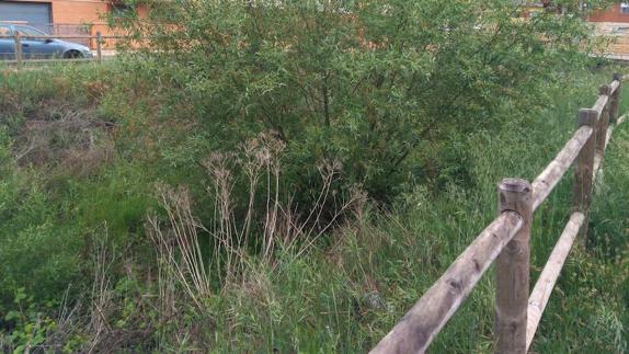 UPL denuncia «la pasividad y el abandono» de la Confederación en San Andrés del Rabanedo