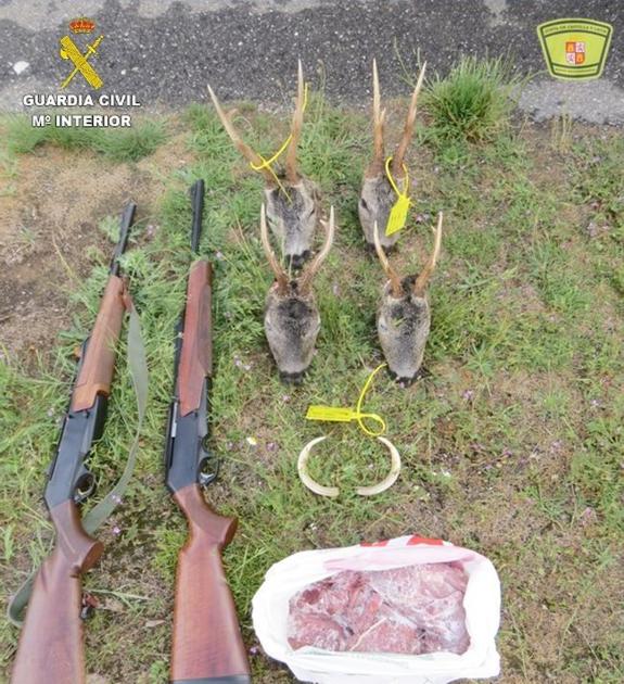 Identificados en León dos cazadores de Huelva con cuatro cabezas de corzo precintadas irregularmente